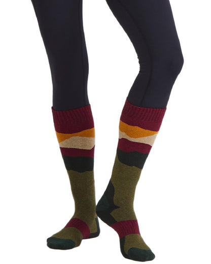 Berry Stripes Coloured Ridgeline Merino Wool Full Length Socks on white background 