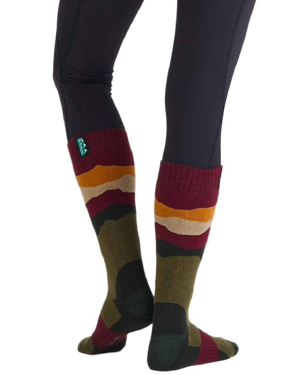 Berry Stripes Coloured Ridgeline Merino Wool Full Length Socks on white background 