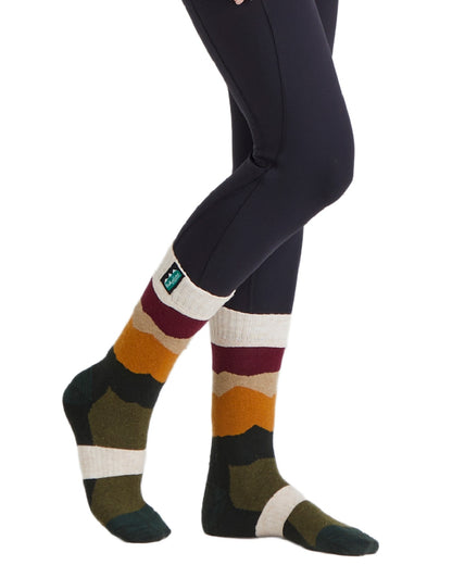 Berry Stripes Coloured Ridgeline Merino Wool Mid Length Socks on white background 