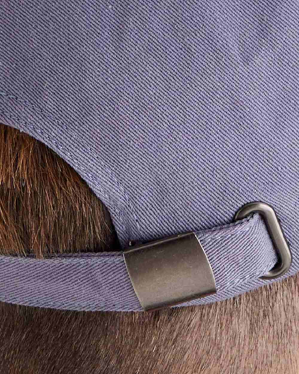 Storm Coloured Ridgeline Signature Cap on white background 