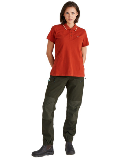 Russet coloured Ridgeline Womens Kilworth Polo Shirt on white background 