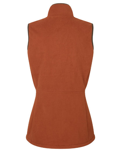 Russet coloured Ridgeline Womens Kodiak Gilet on white background 