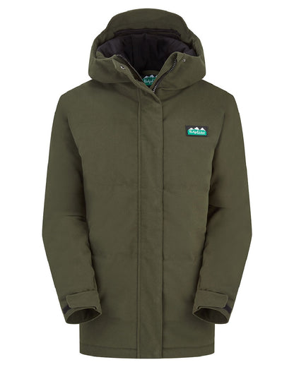 Deep Forest coloured Ridgeline Womens Taiga Thermal Jacket on white background 