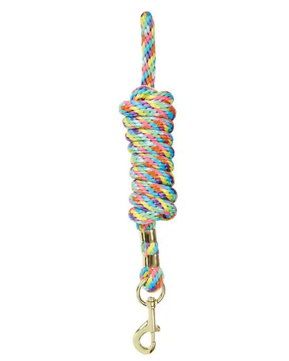 Rainbow coloured Roma Continental Lead on white background 