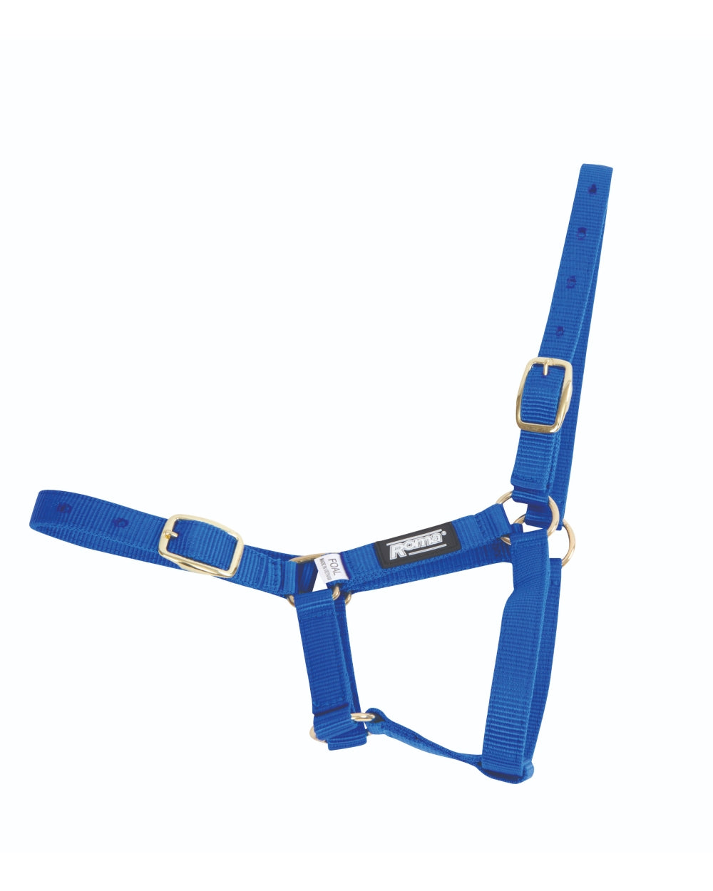 Blue coloured Roma Foal Headcollar on white background 