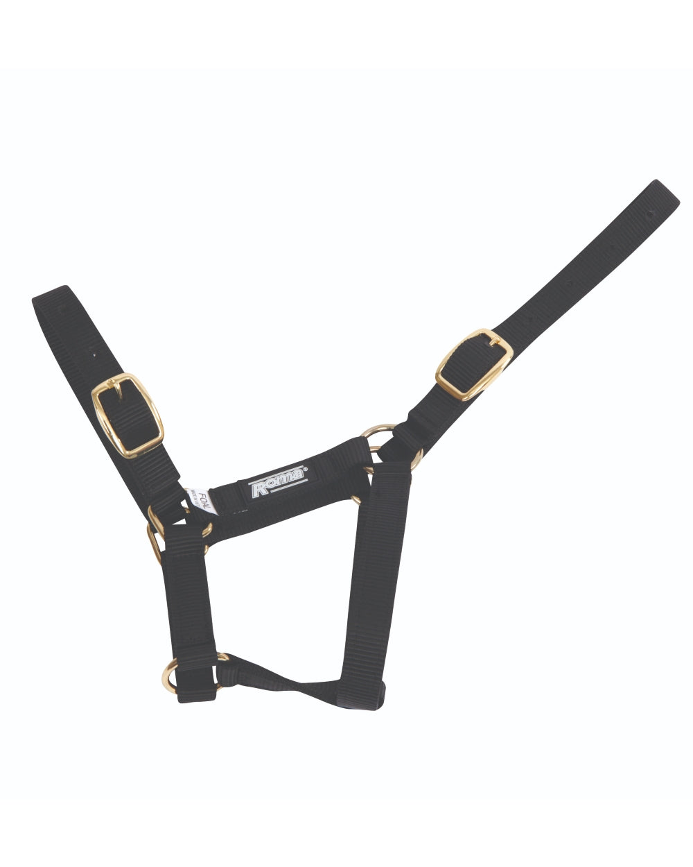 Black coloured Roma Foal Headcollar on white background 