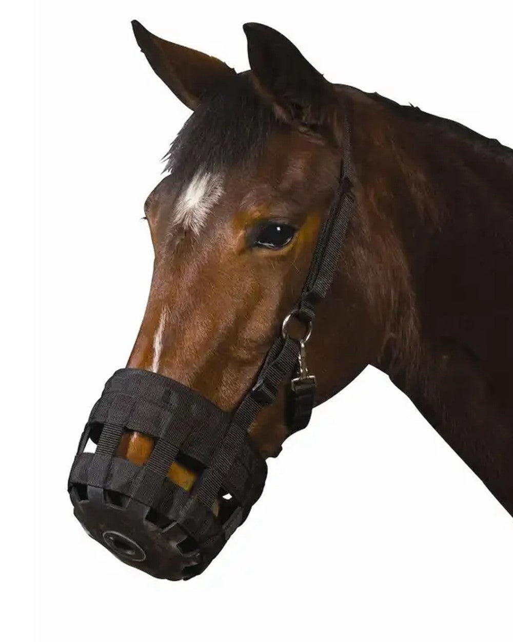 Black coloured Roma Grazing Muzzle on white background 