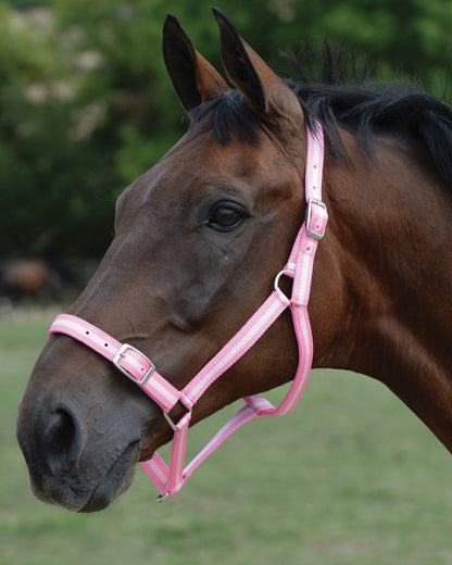 Pink Silver coloured Roma Headcollar And Lead Set on blurry background 