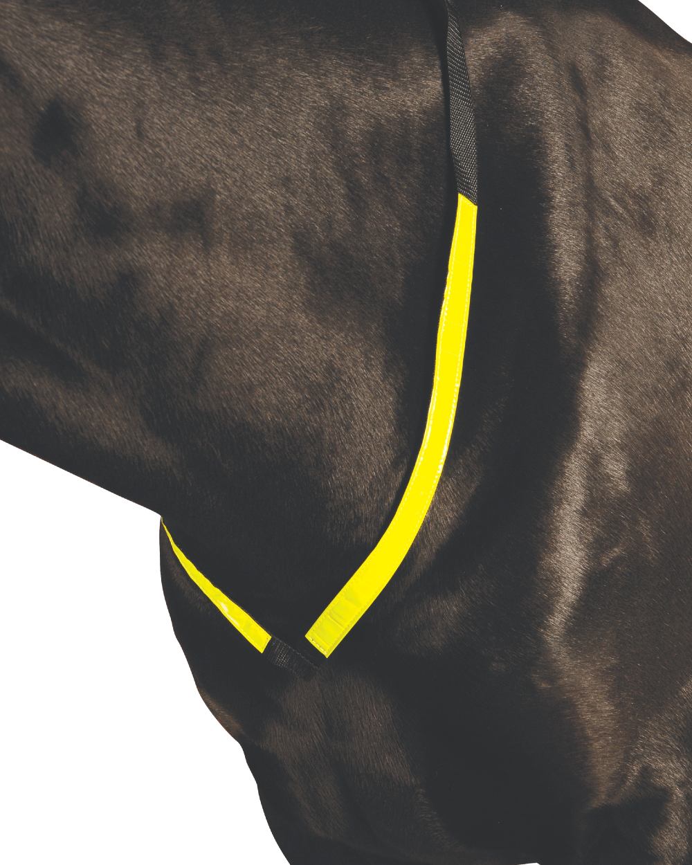 Yellow coloured Roma Reflective Breastplate on white background 