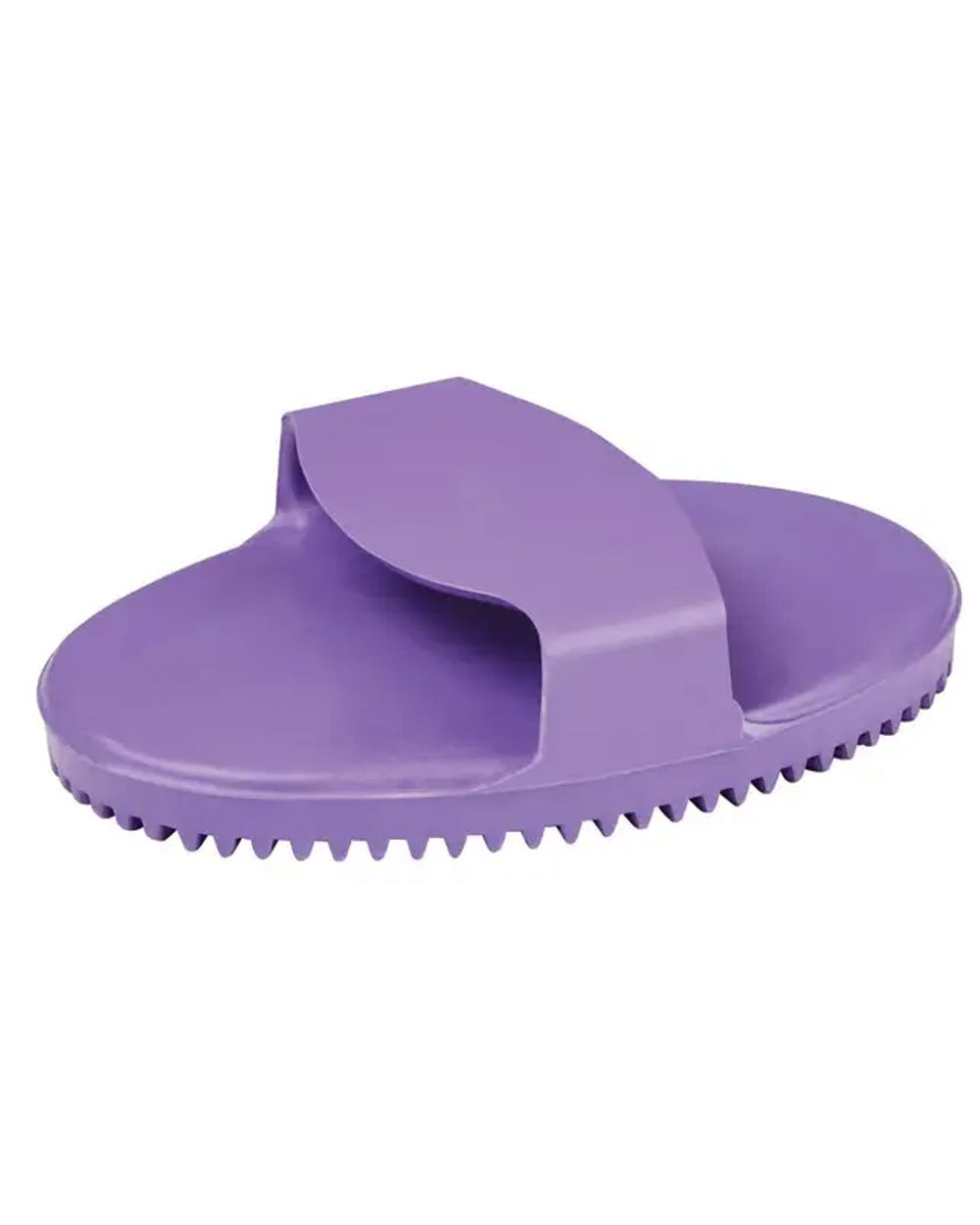 Purple coloured Roma Rubber Curry Comb on white background 