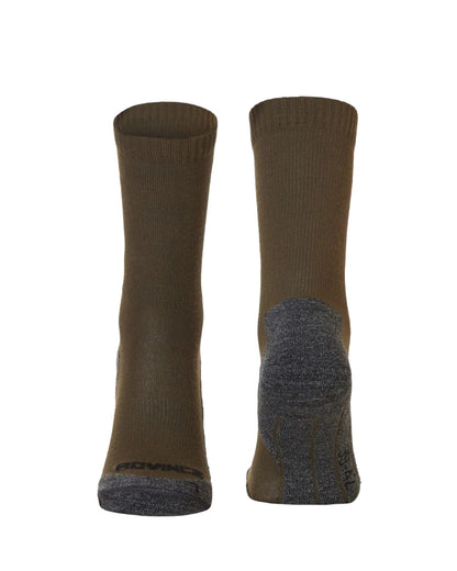 Green Coloured Rovince Shield Socks on white background 