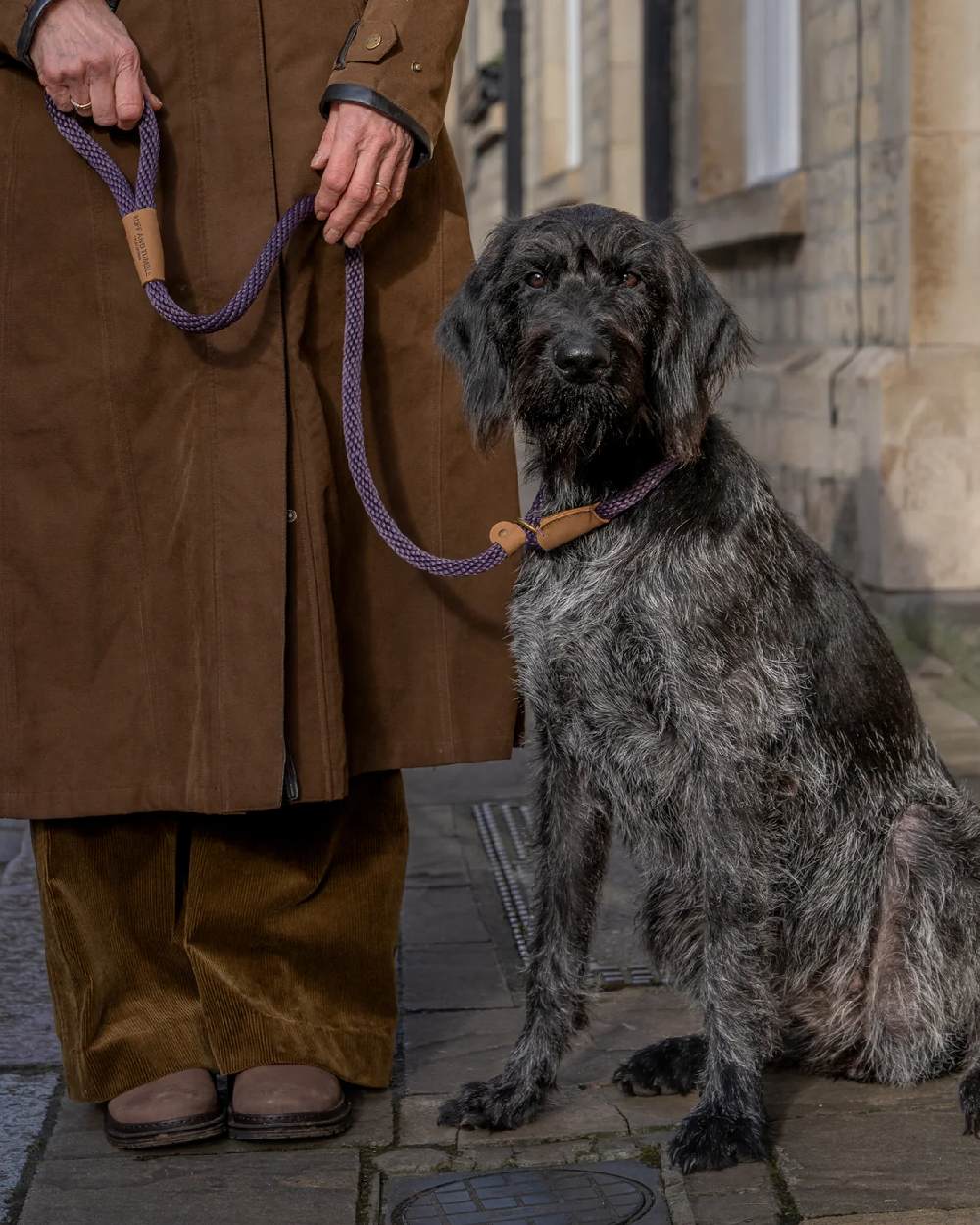 Blackberry Coloured Ruff &amp; Tumble Slip Dog Leads on outdoor background 