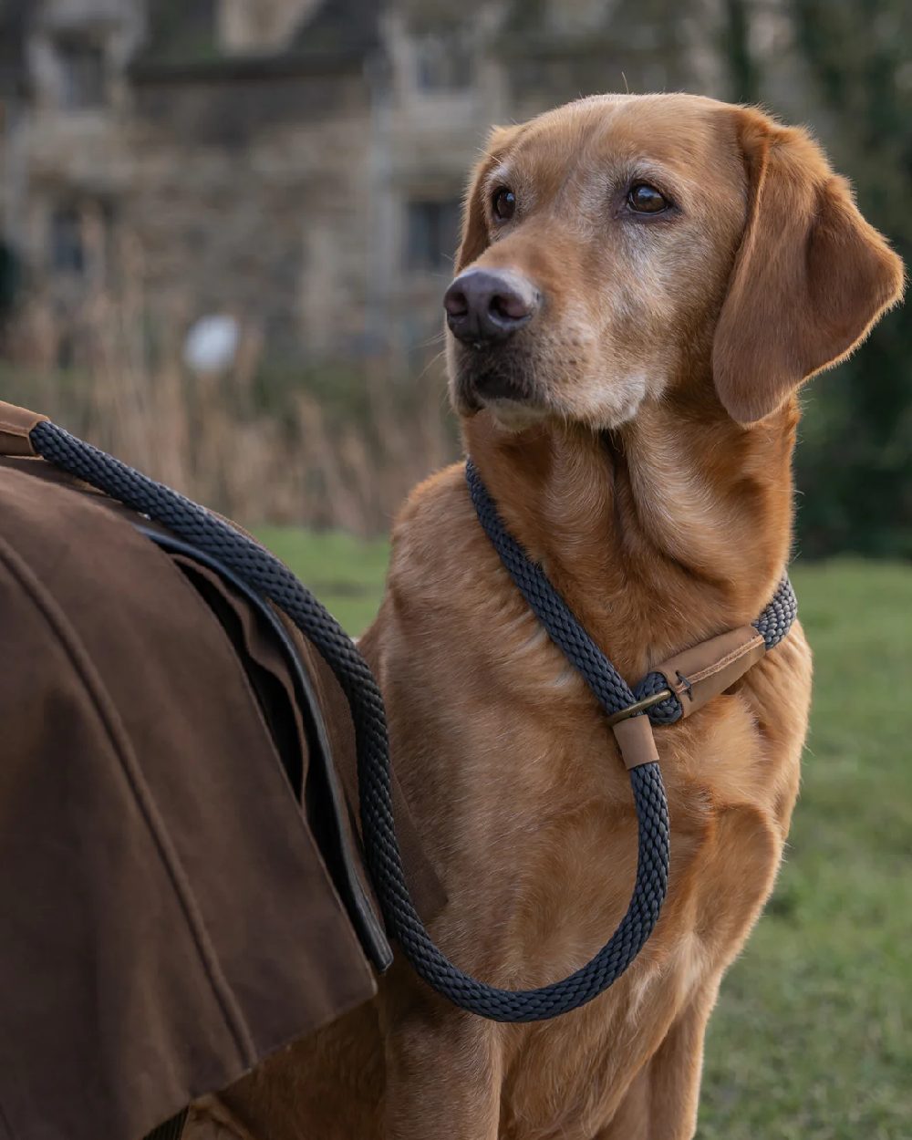 Charcoal Coloured Ruff &amp; Tumble Slip Dog Leads on outdoor background 