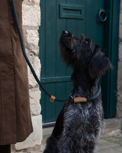 Forest Coloured Ruff &amp; Tumble Slip Dog Leads on outdoor background 