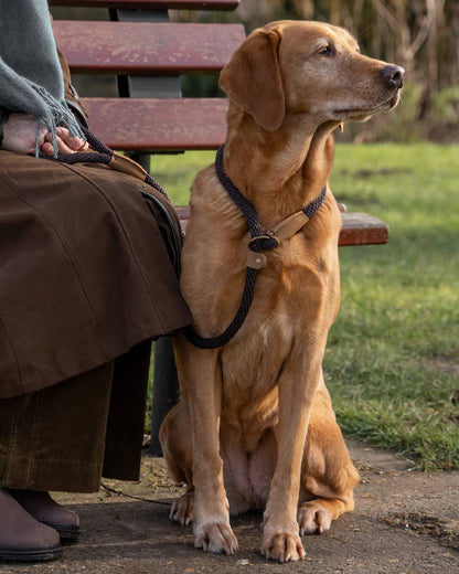 Mud Coloured Ruff &amp; Tumble Slip Dog Leads on outdoor background 