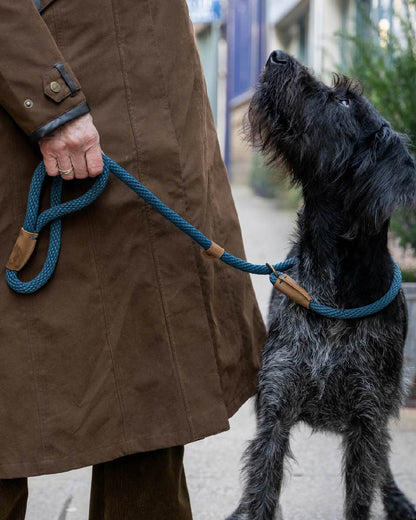 Sandringham Blue Coloured Ruff &amp; Tumble Slip Dog Leads on outdoor background 