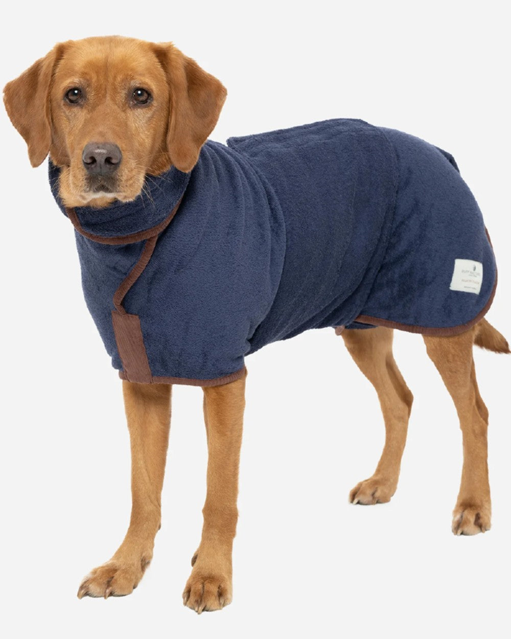 French Navy coloured Ruff &amp; Tumble Country Dog Drying Coat on ginger dog on white background 