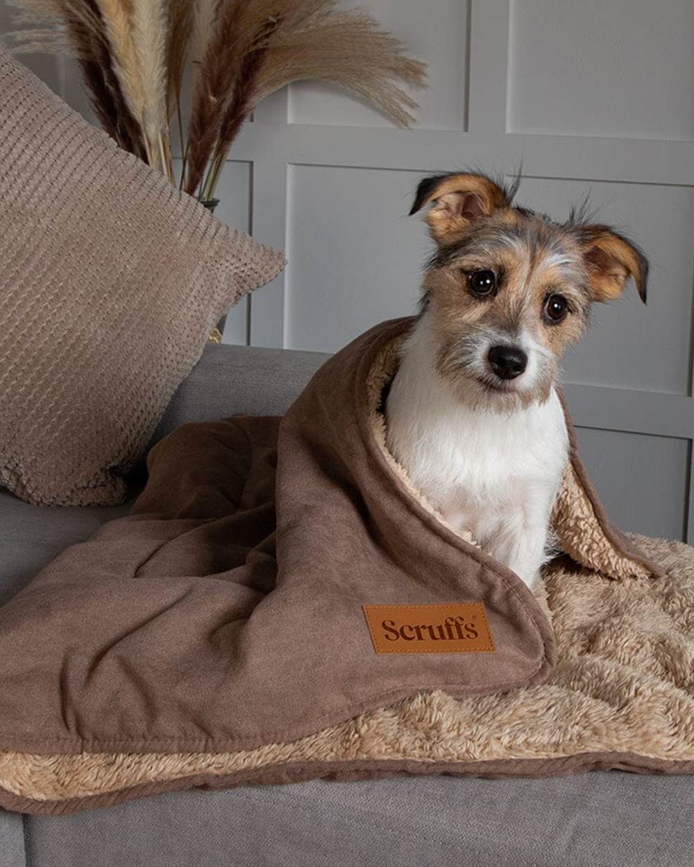 Caramel Brown coloured Scruffs Snuggle Blanket on house background 