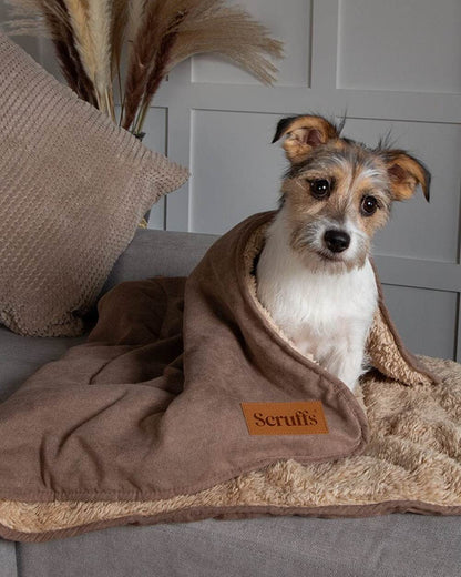 Caramel Brown coloured Scruffs Snuggle Blanket on house background 