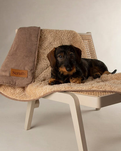 Caramel Brown coloured Scruffs Snuggle Blanket on house background 