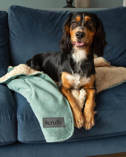 Sage Green coloured Scruffs Snuggle Blanket on house background 