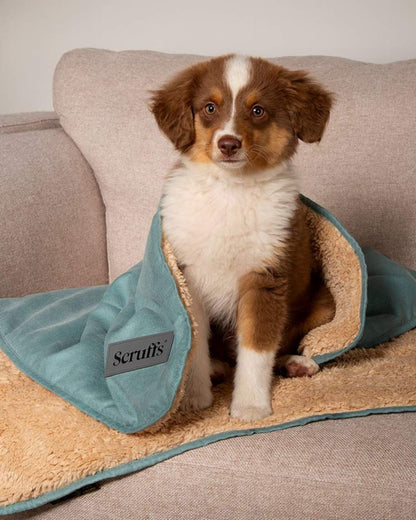 Sage Green coloured Scruffs Snuggle Blanket on house background 