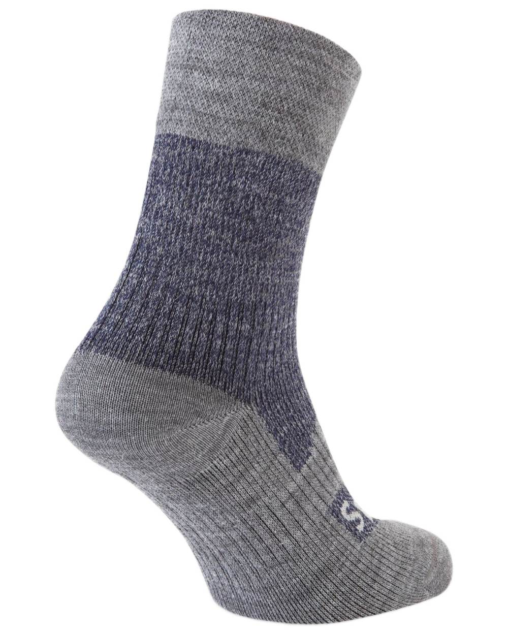 Navy coloured Sealskinz Bircham Waterproof All Weather Ankle Length Socks on white background 