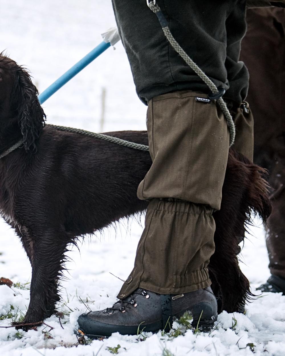 Shaded Olive Coloured Seeland Buckthorn Gaiters on snow background 
