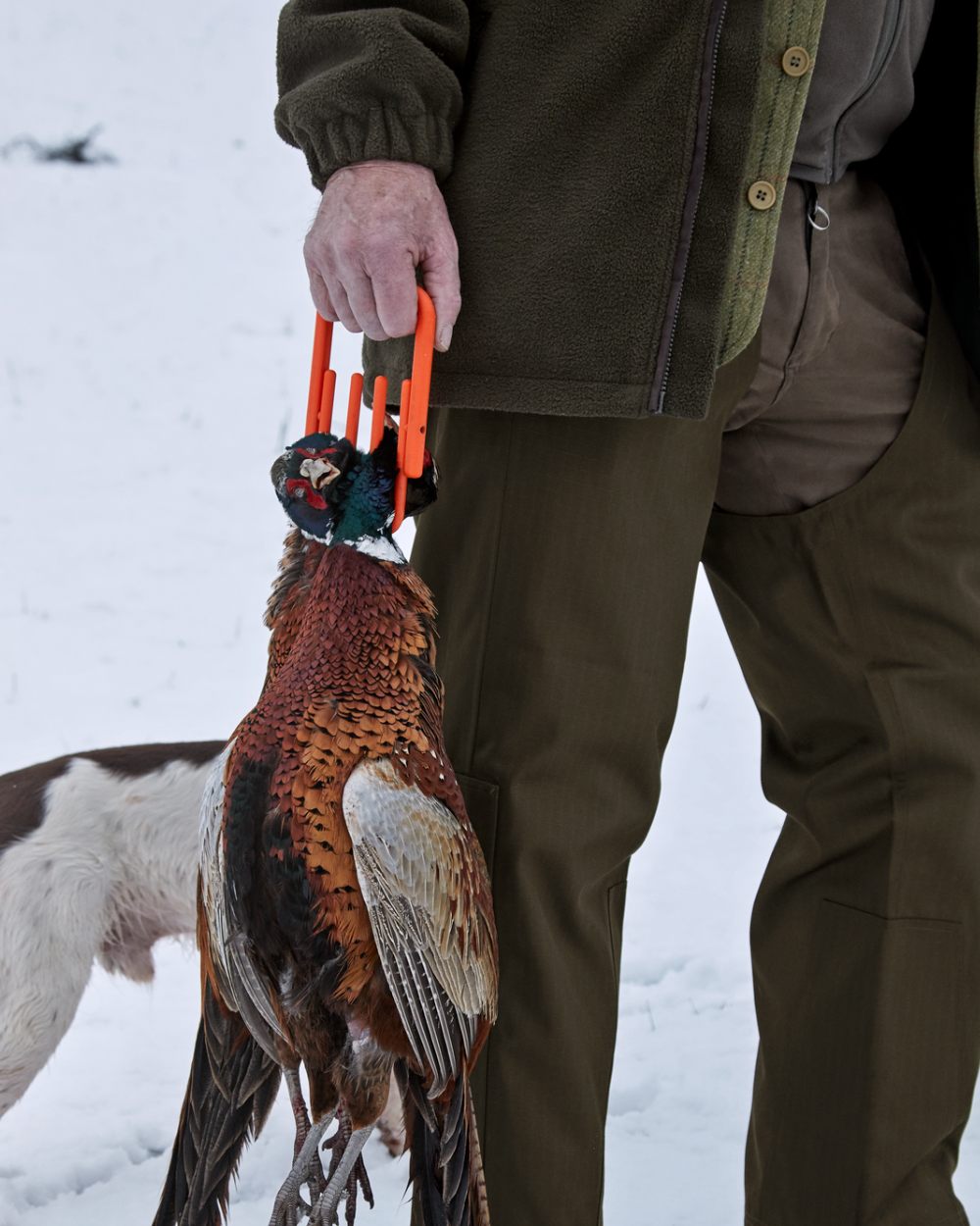 Shaded Olive Coloured Seeland Buckthorn Treggings on snow background 