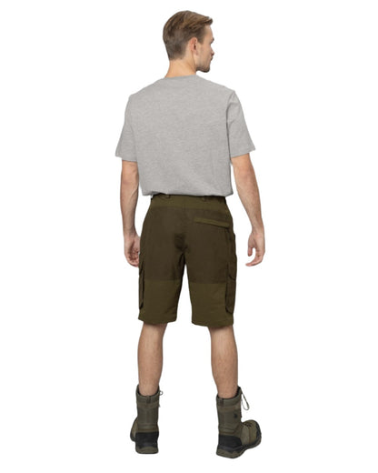 Light Pine Grizzly Brown Coloured Seeland Elm Shorts on white background 