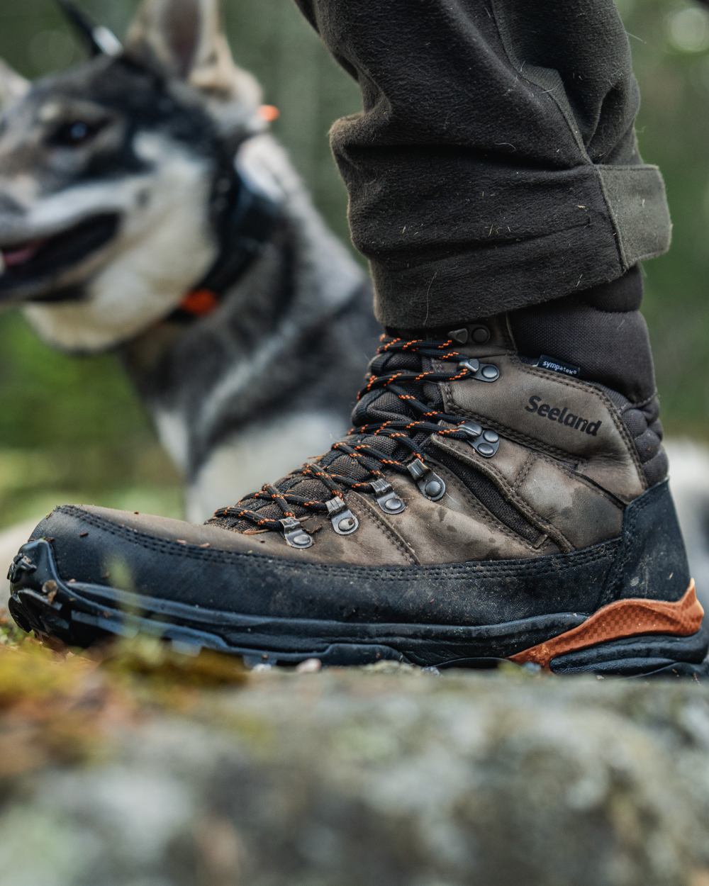 Dark Brown coloured Seeland Enduro Tracker High Boots on forest background 