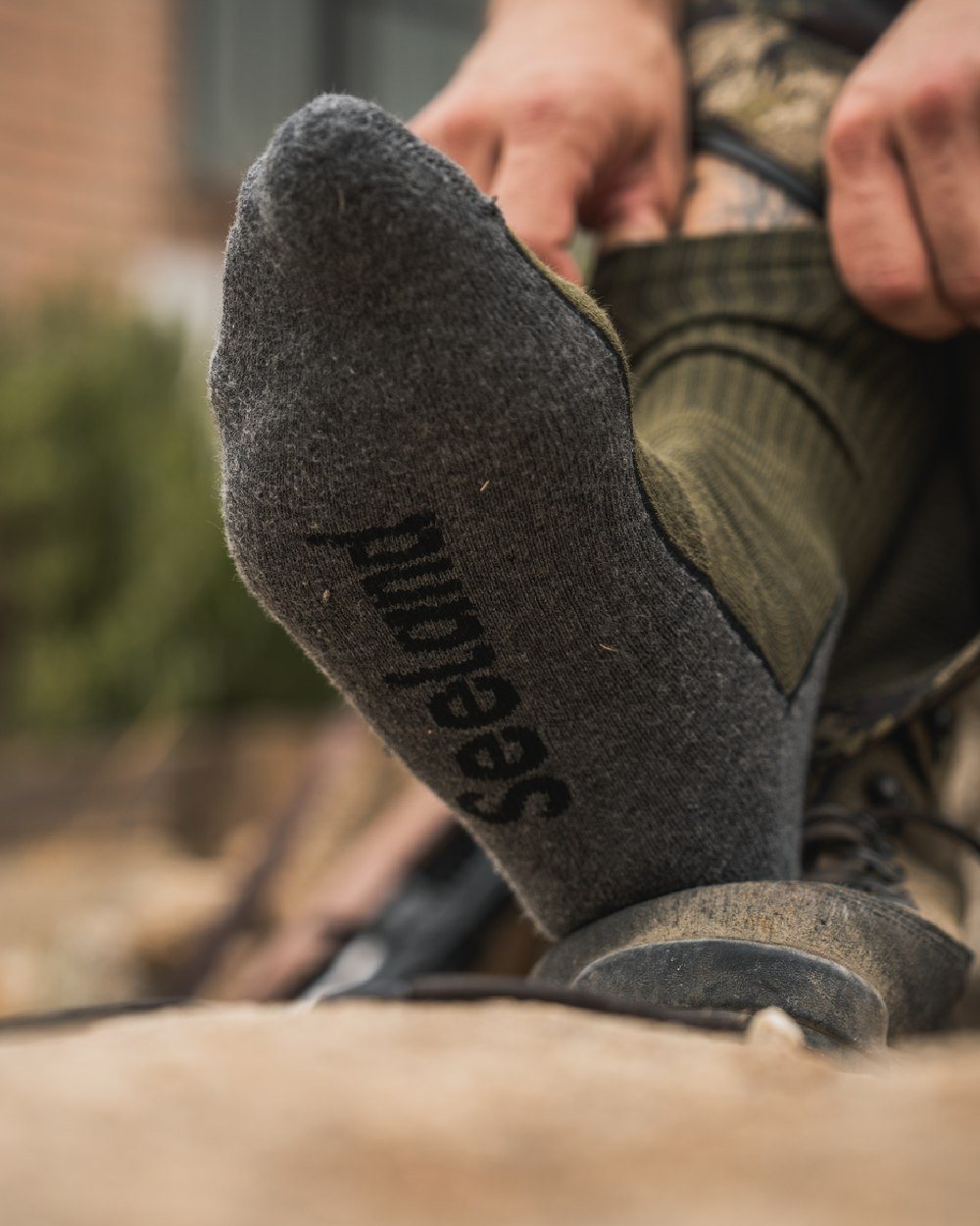 Pine Green Dark Grey Coloured Seeland Field Sock Triple Pack on Blurry Background
