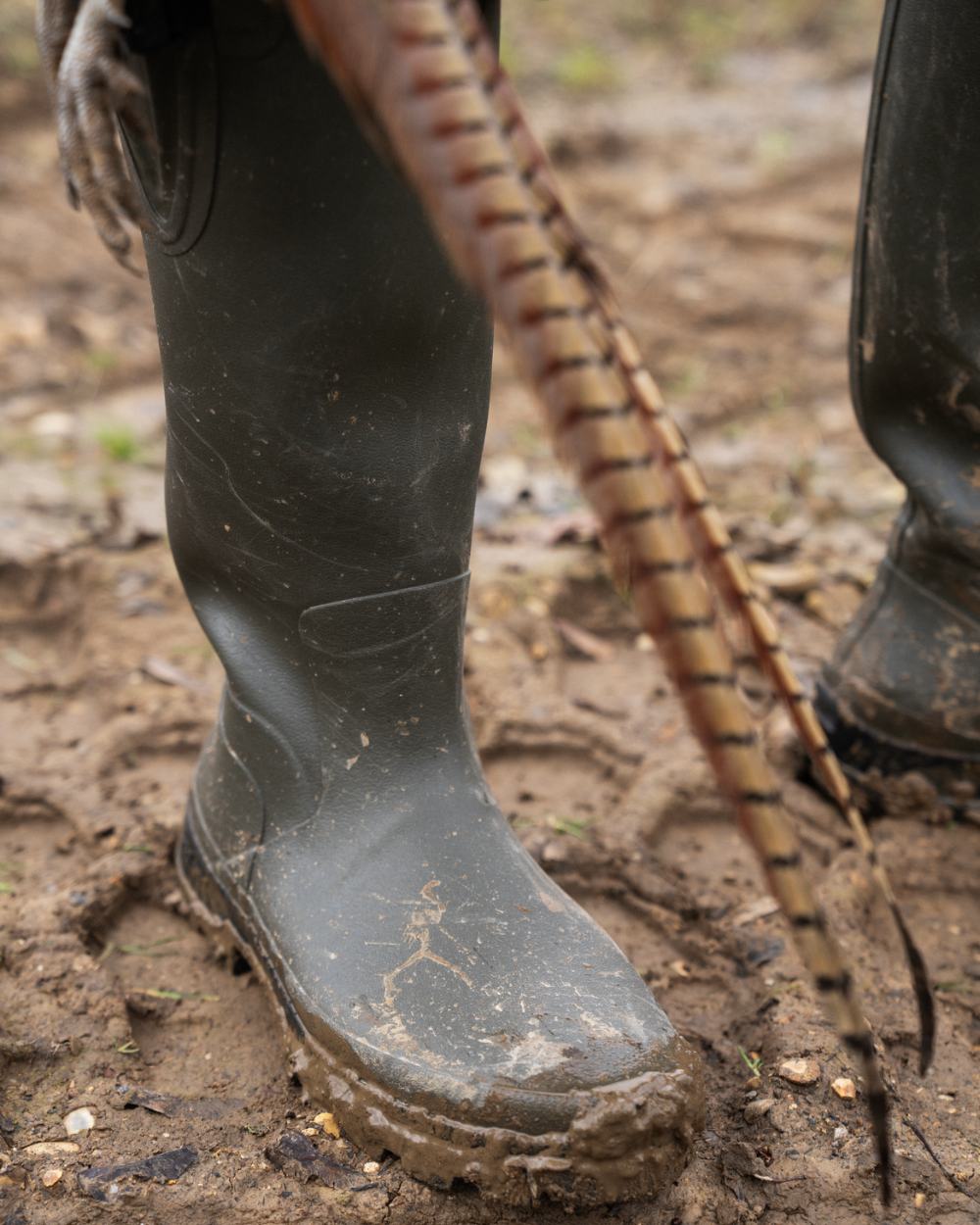 Pine Green Coloured Seeland Hillside Enforced Wellingtons on outdoor background 