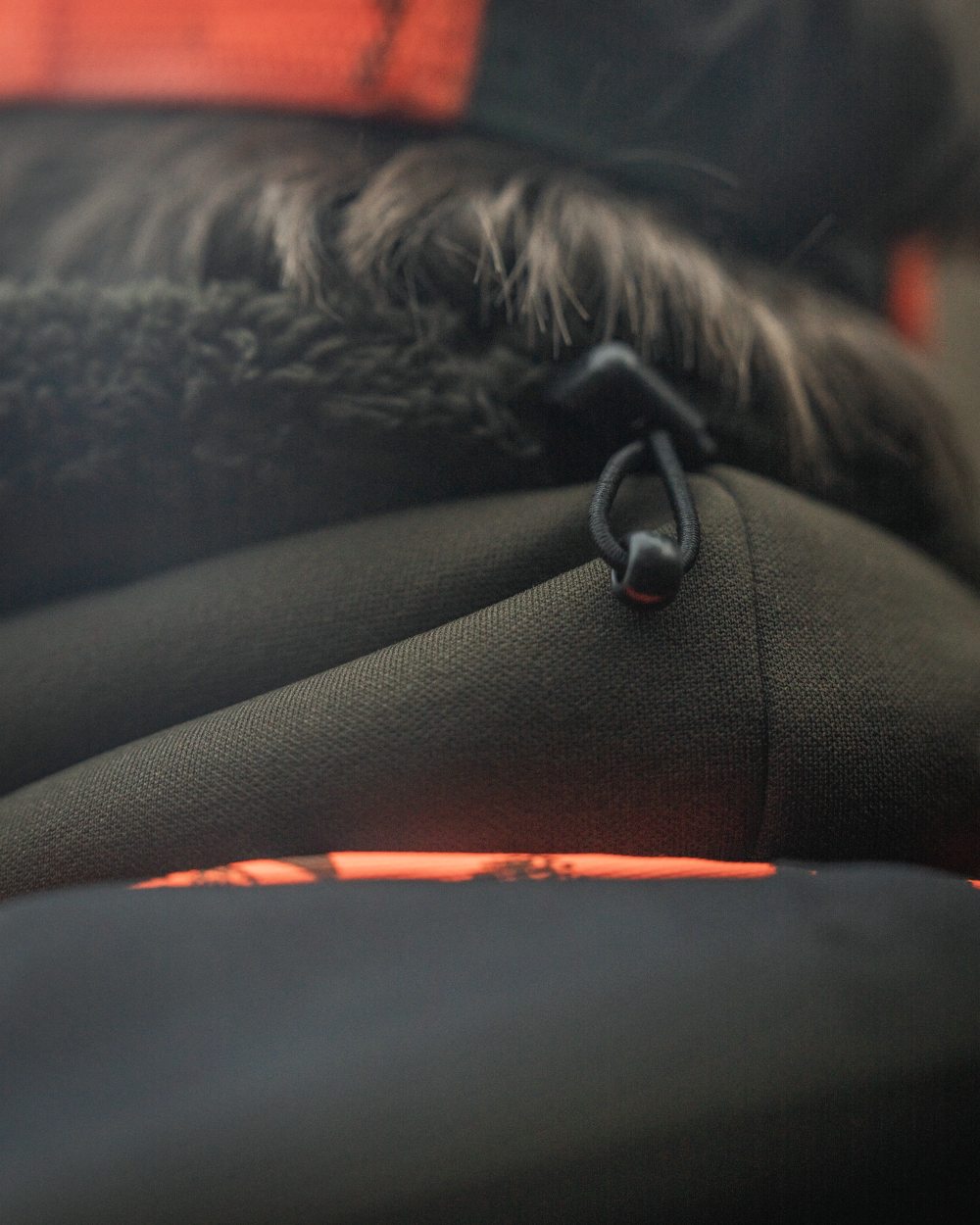 Pine Green coloured Seeland Iron Neckgaiter on forest background 