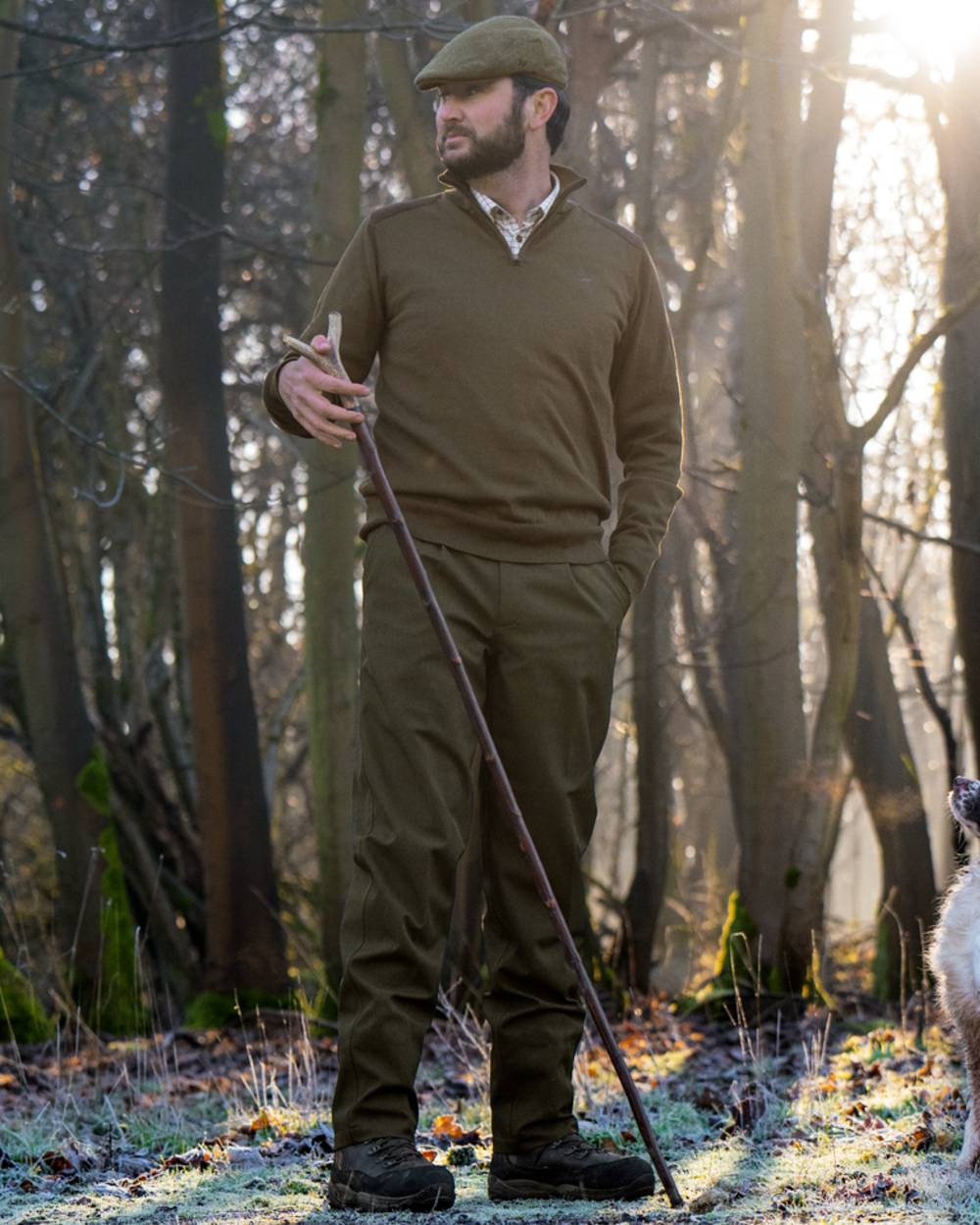 Light Pine coloured Seeland Mens Pine Half Zip Sweater on forest background 