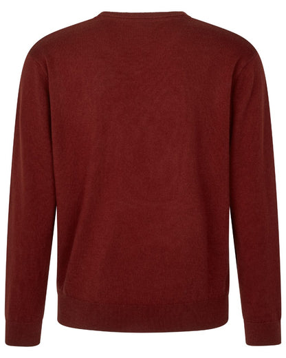Merlot Coloured Seeland Mens Pine V-Neck Pullover on white background 