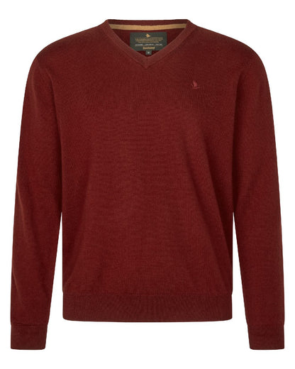 Merlot Coloured Seeland Mens Pine V-Neck Pullover on white background 