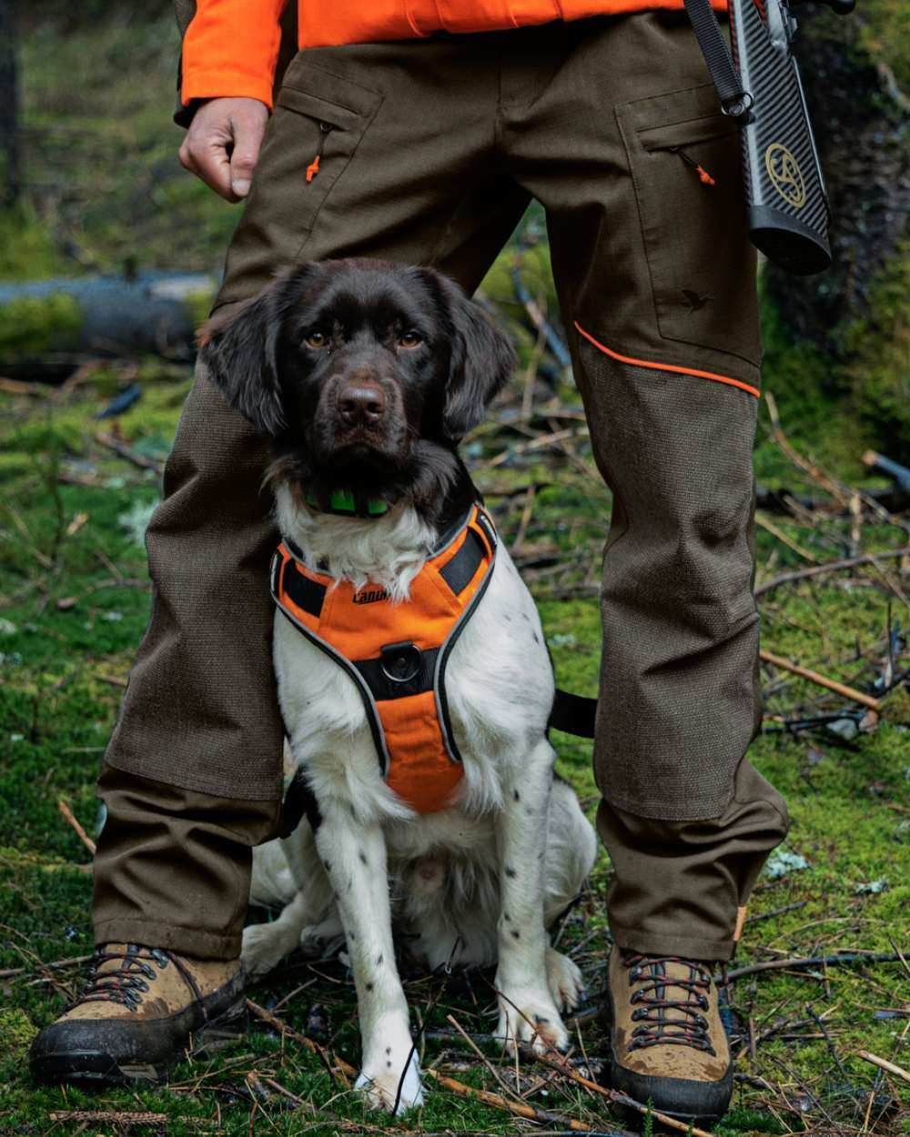 Pine Green Hi-Vis Orange Coloured Seeland Venture Trousers on forest background 