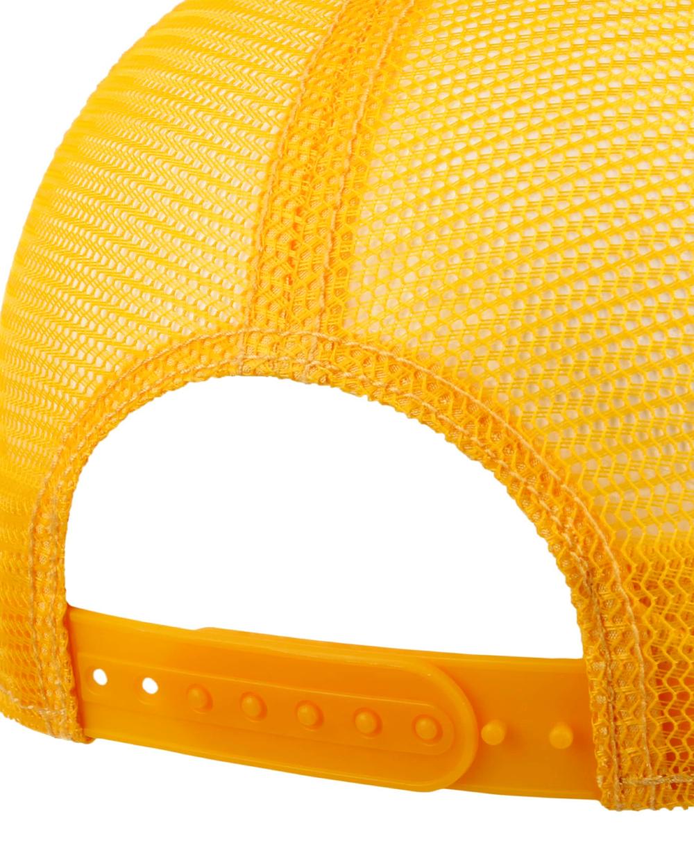 Blue White coloured Stetson Lettering Trucker Cap on white background 