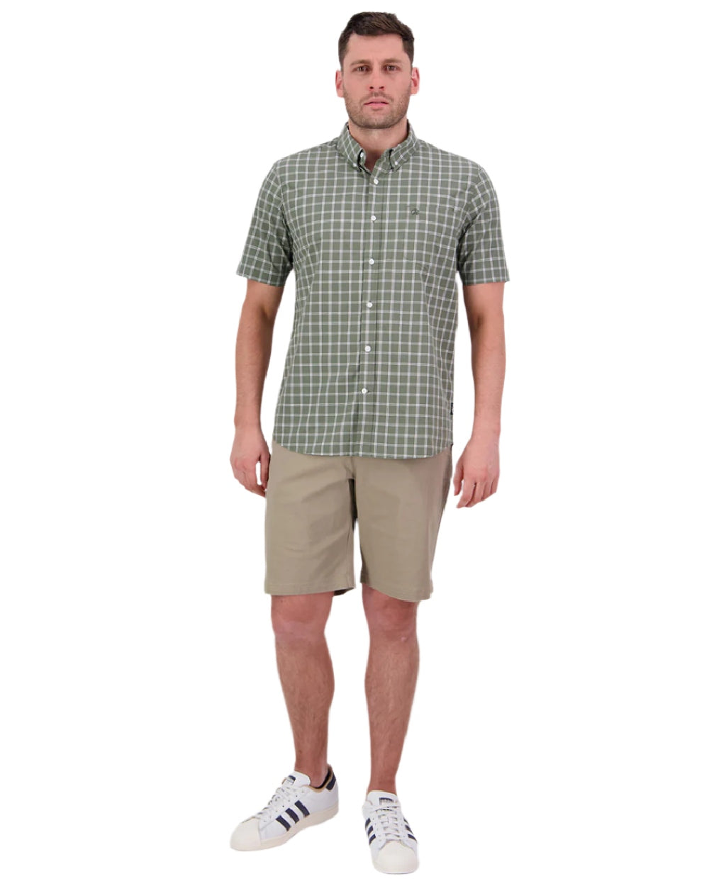 Olive Check Coloured Swanndri Mens Lancewood Short Sleeve Shirt on white background 