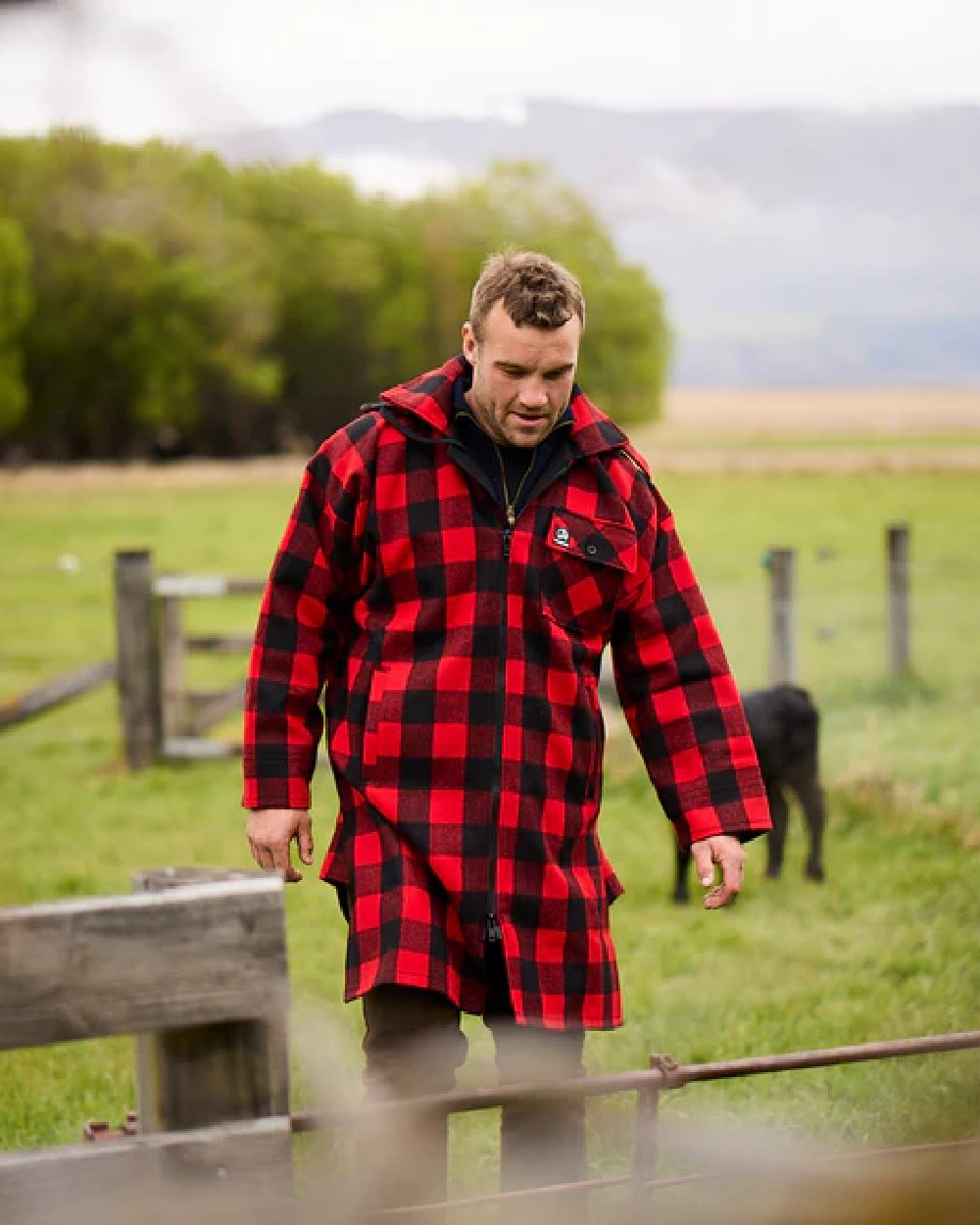 Red Black Check Coloured Swanndri Mens Mosgiel Wool Bushshirt with Zip-up Front on countryside background 