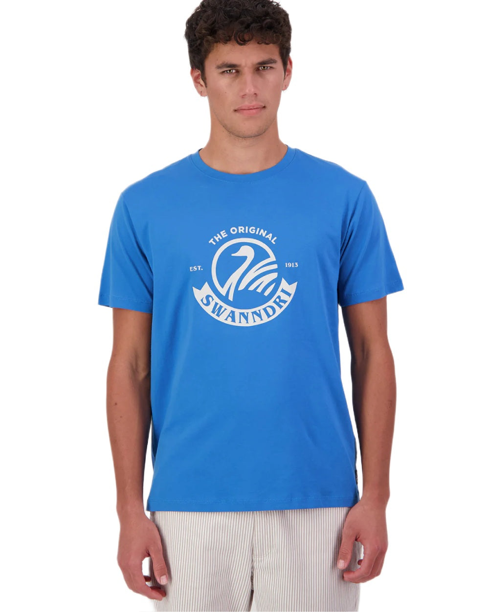 Maui Blue Platinum coloured Swanndri Mens Original V2 T-Shirt on white background 