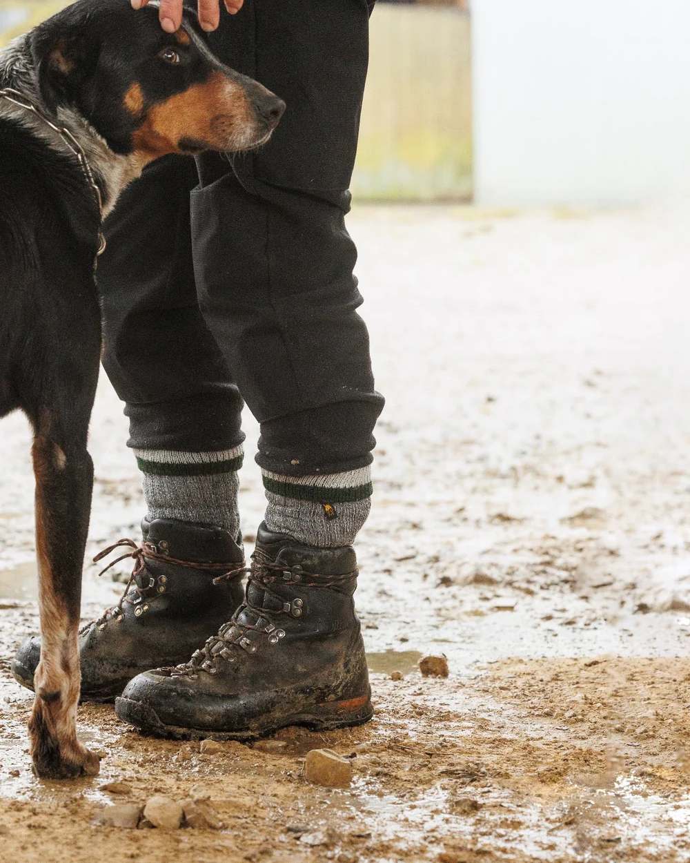 Forest Green Coloured Swazi Mens Merino Farm Socks on outdoor background 
