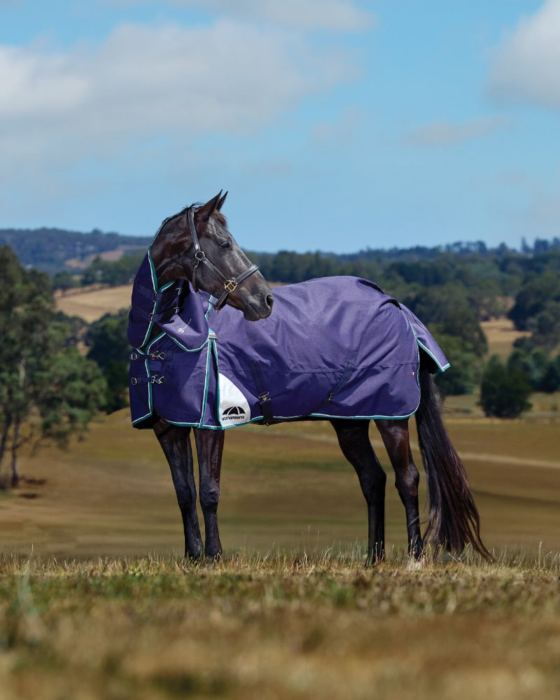 Horse wearing a WeatherBeeta turnout rug while standing in open countryside