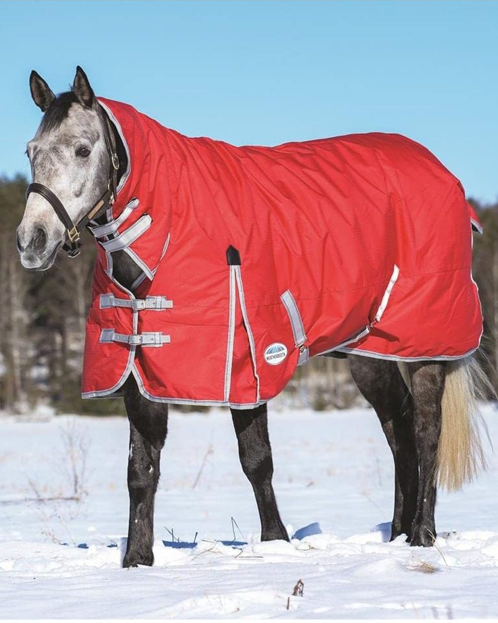 Red Silver Navy coloured WeatherBeeta ComFiTec Classic Combo Neck Medium on snow background 