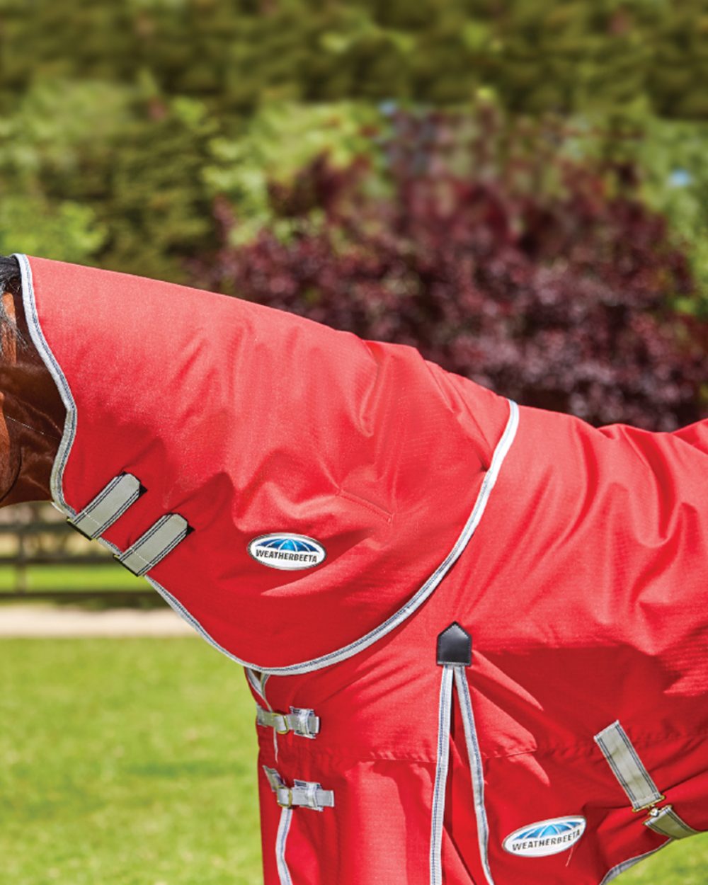 WeatherBeeta ComFiTec Classic Neck Rug Medium