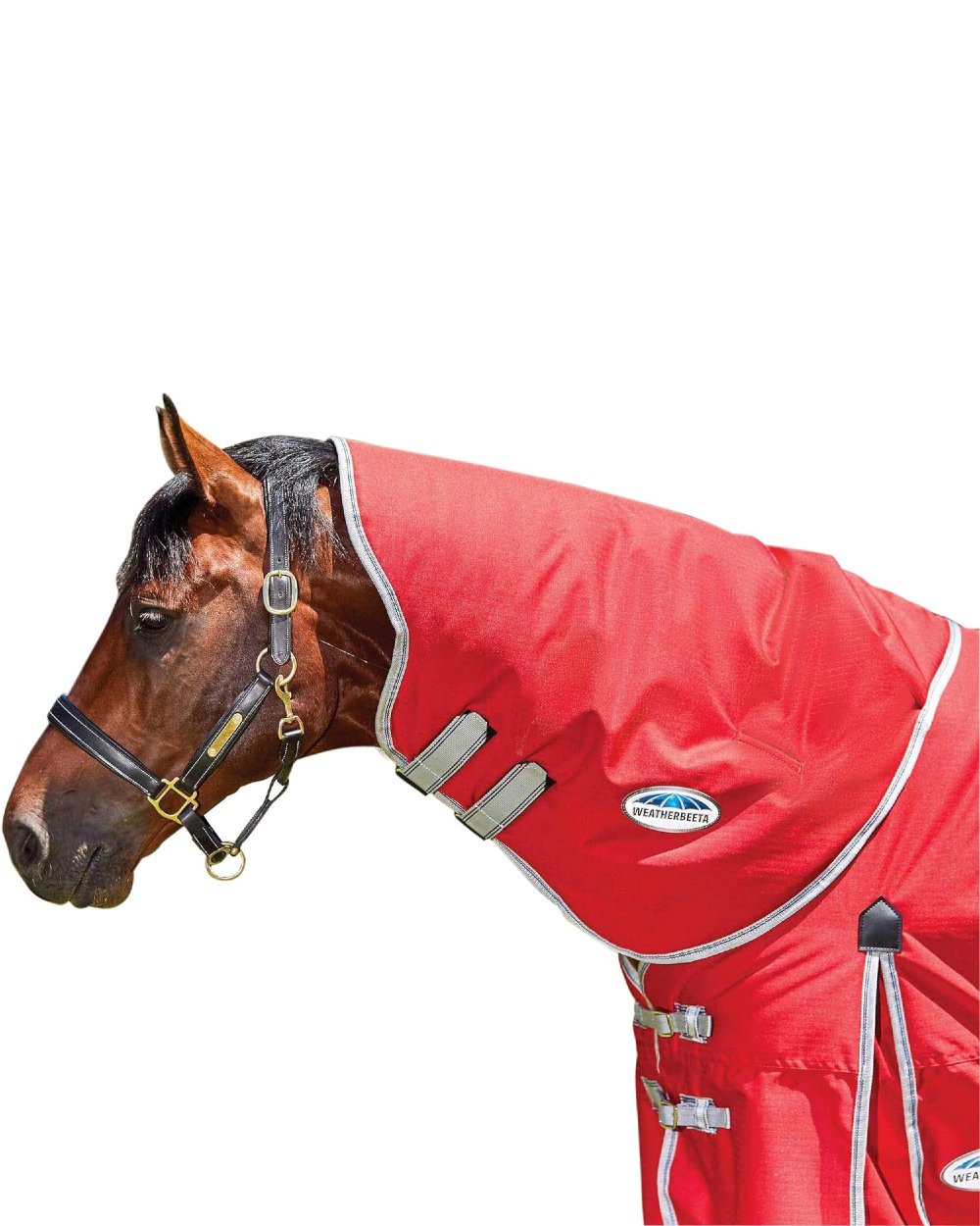 WeatherBeeta ComFiTec Classic Neck Rug Medium