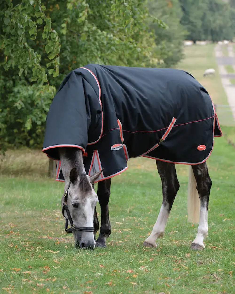 Black Silver Red coloured WeatherBeeta ComFiTec Premier With Therapy-Tec Detach-A-Neck Medium on field background 