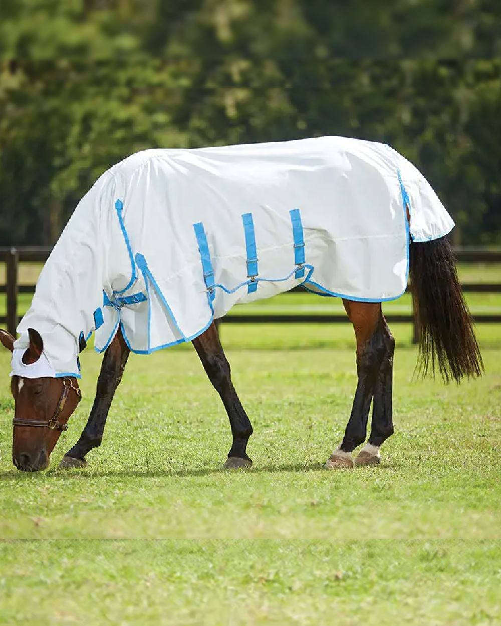 White Blue coloured WeatherBeeta ComFiTec Sweet Itch Shield Combo Neck on blurry green background 