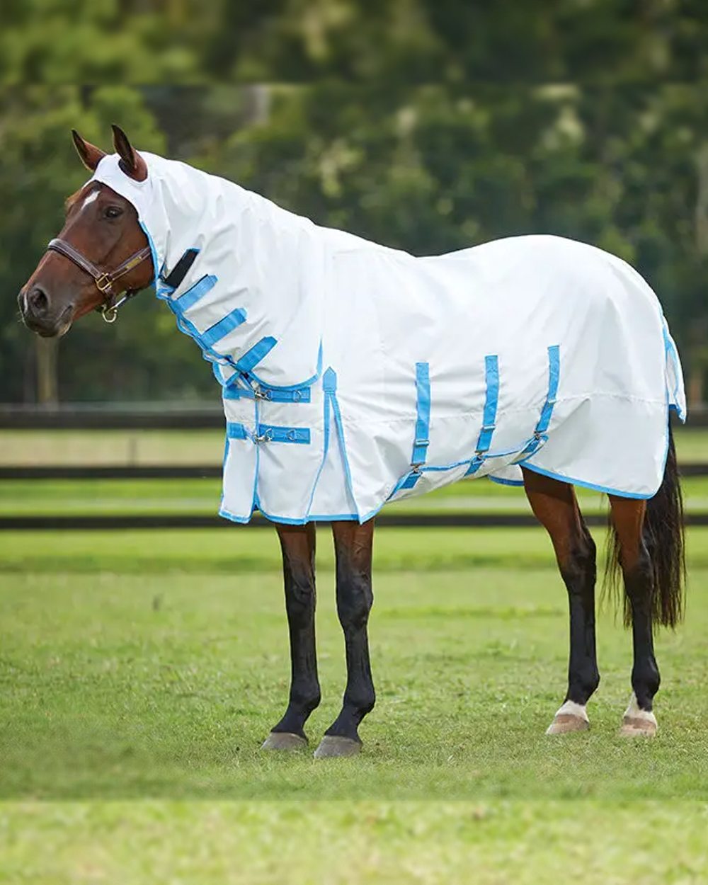 White Blue coloured WeatherBeeta ComFiTec Sweet Itch Shield Combo Neck on blurry green background 